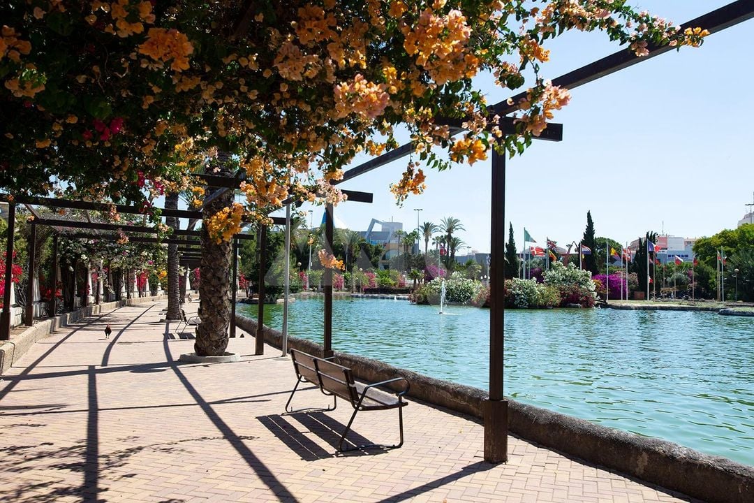 2 bedroom Apartment in Torrevieja - SV92659 - Photo - 40