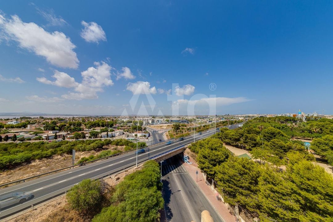 2 bedroom Apartment in Torrevieja - SV92659 - Photo - 31
