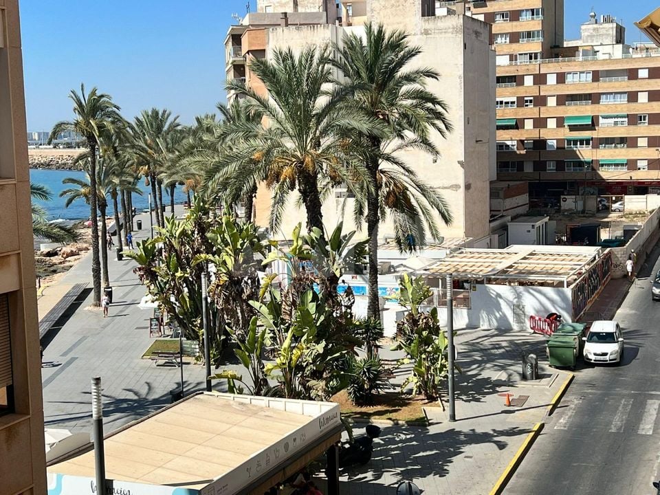 Appartement de 4 chambres à Torrevieja - SV82972 - Photo - 24
