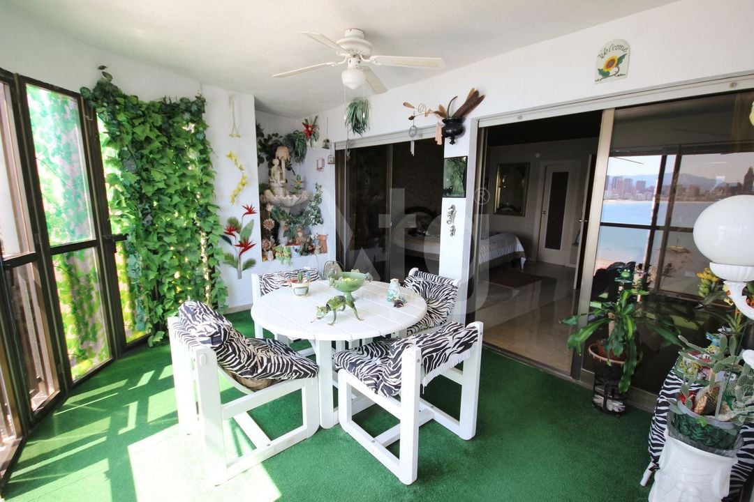 Appartement de 6 chambres à Benidorm - ABC83517 - Photo - 18