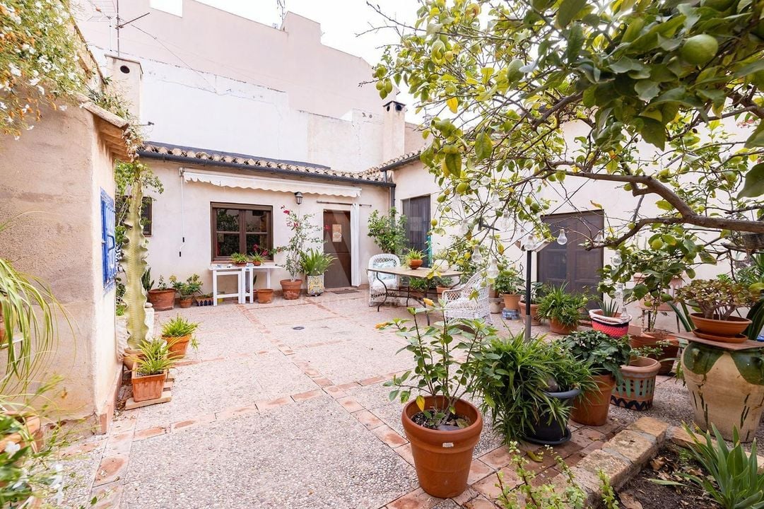 Villa de 8 chambres à Murcia - JJ84734 - Photo - 45