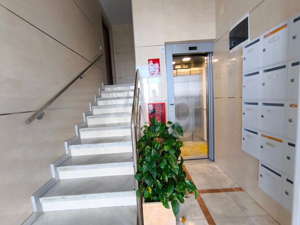 Appartement de 3 chambres à Torrevieja - ERV85304 - Photo - 25