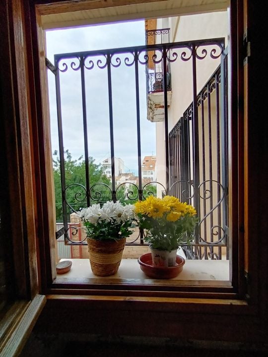 Appartement de 2 chambres à Altea - CPP85923 - Photo - 11