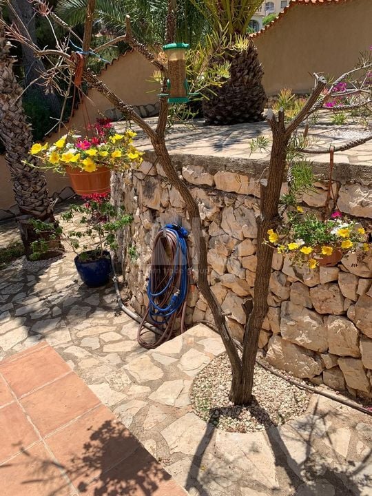 Villa de 4 chambres à Calp - VMD86245 - Photo - 40