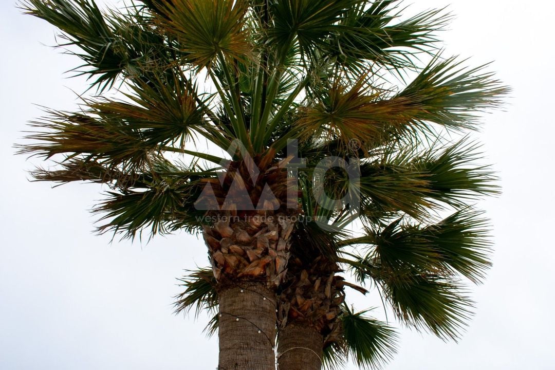Villa   v La Manga, 7 ložnice - SV87613 - Foto - 42