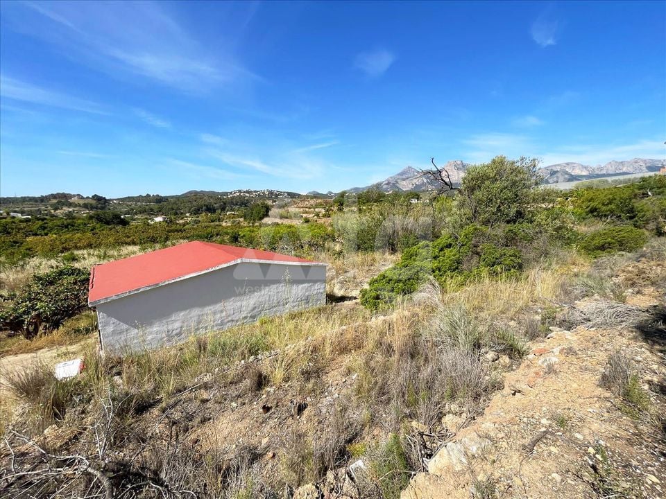 Parcela de  en Callosa de Ensarriá- IMBR88981 - Foto - 8