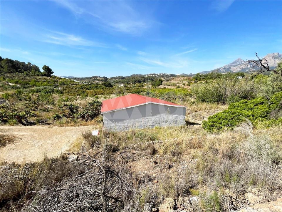 Parcela de  en Callosa de Ensarriá- IMBR88981 - Foto - 9