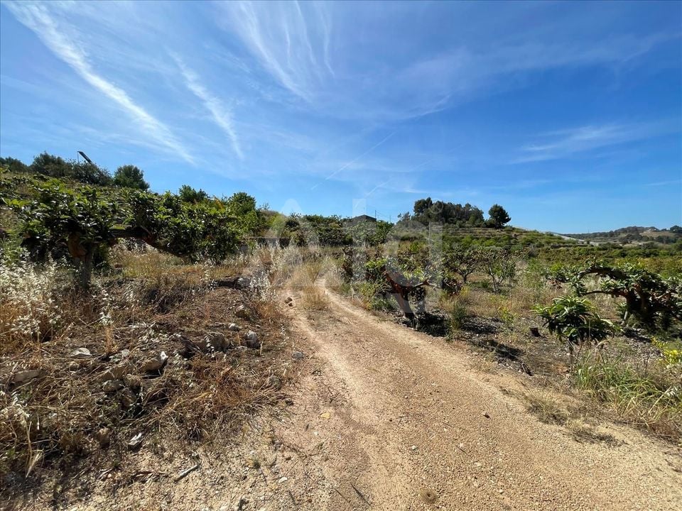 Parcela de  en Callosa de Ensarriá- IMBR88981 - Foto - 10