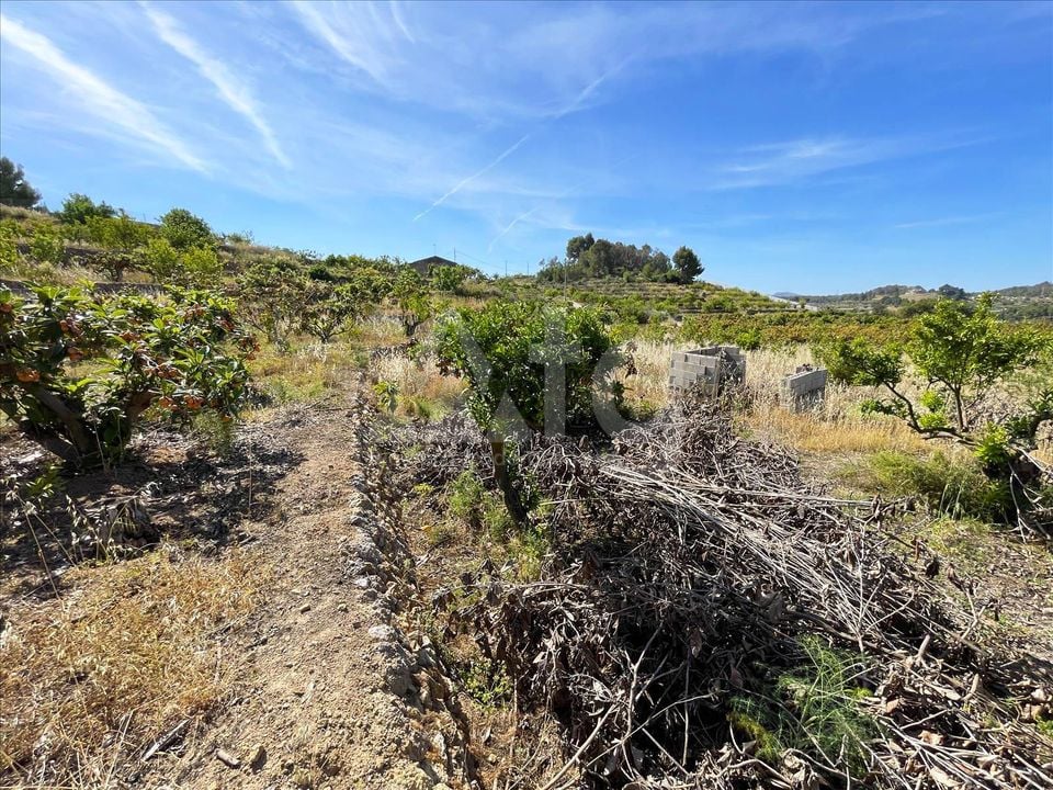 Parcela de  en Callosa de Ensarriá- IMBR88981 - Foto - 11