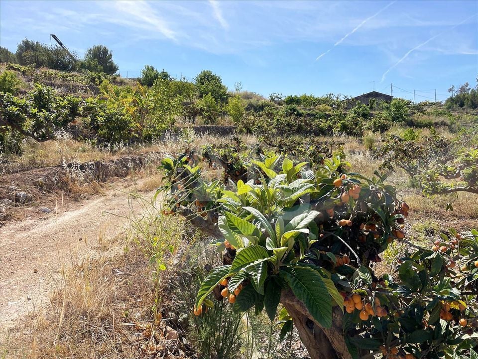 Parcela de  en Callosa de Ensarriá- IMBR88981 - Foto - 12