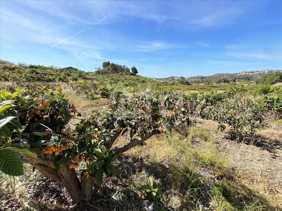 Parcela de  en Callosa de Ensarriá- IMBR88981 - Foto - 13