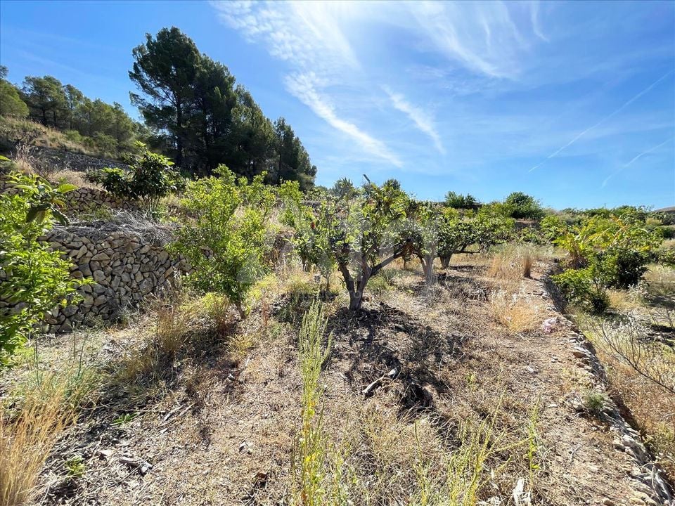 Parcela de  en Callosa de Ensarriá- IMBR88981 - Foto - 15