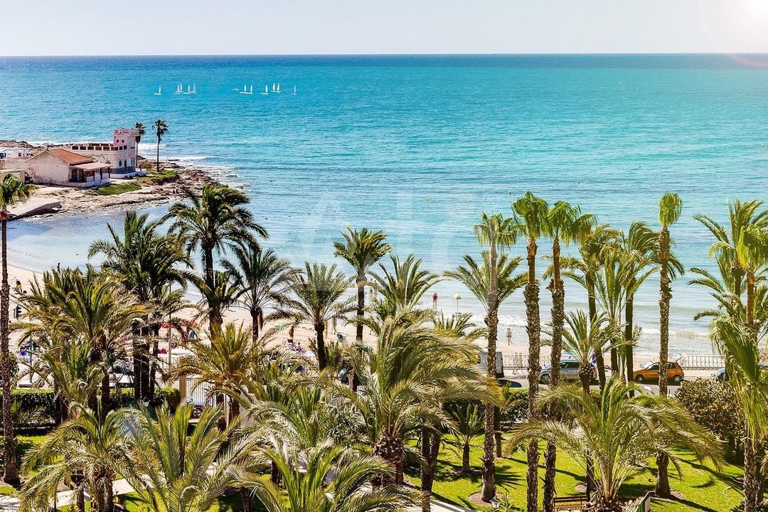 2 bedroom Apartment in Torrevieja - CYM149533 - Photo - 30