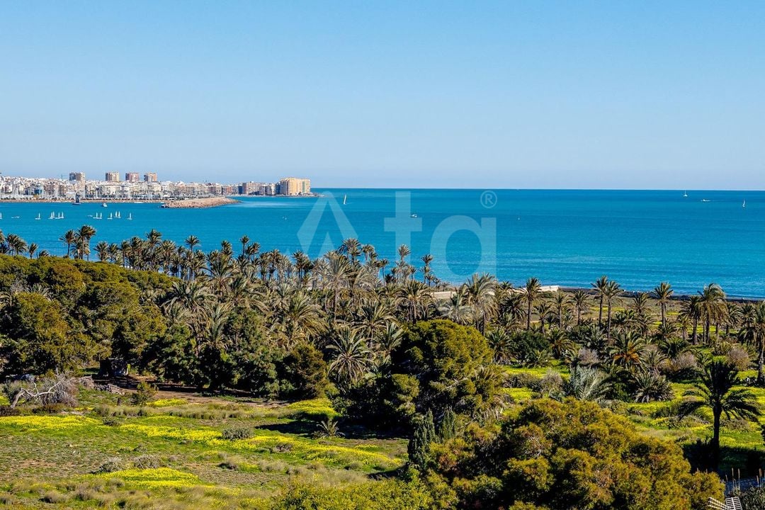 2 bedroom Townhouse in Torrevieja - CYM146980 - Photo - 44