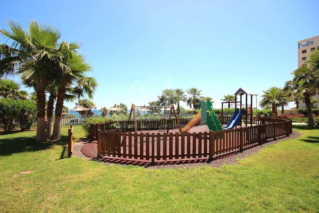 3 bedroom Apartment in Torrevieja - SHL92466 - Photo - 23