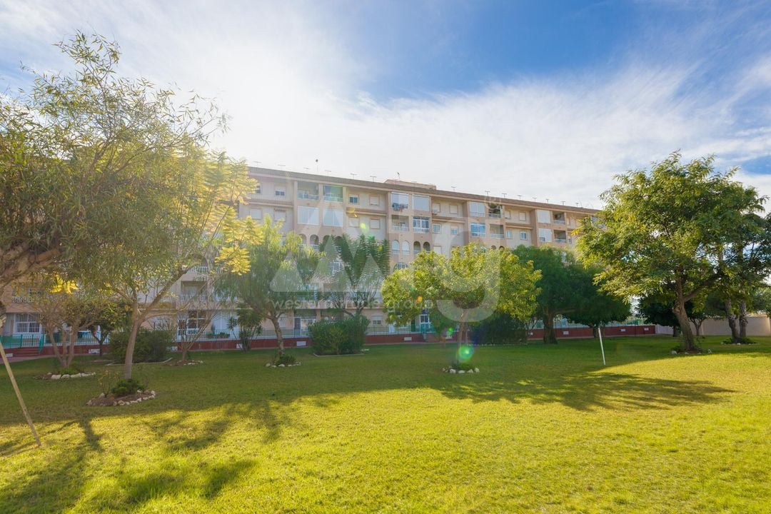 2 bedroom Apartment in Torrevieja - SV92659 - Photo - 28