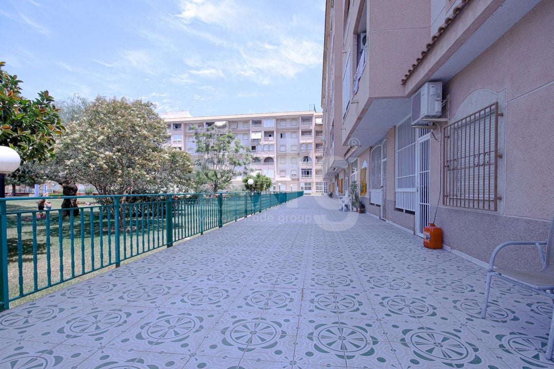 2 bedroom Apartment in Torrevieja - SV92659 - Photo - 19