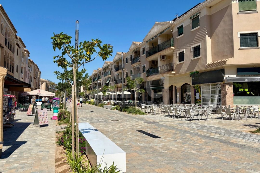 Ático de 2 habitaciones en Los Alcázares - ERR150648 - Foto - 13