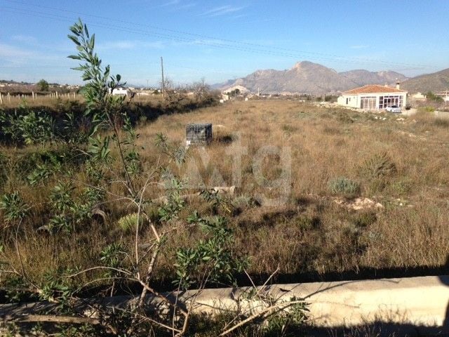  Grundstück in Hondón de los Frailes- CNM93008 - Foto - 1