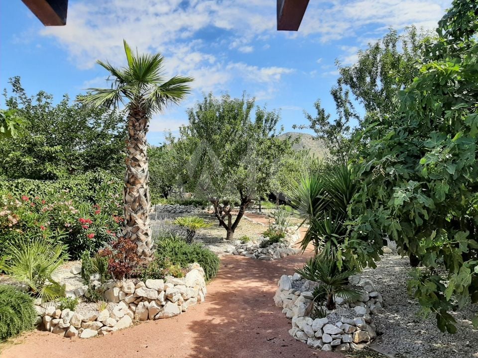 6 Schlafzimmer Villa in Hondón de los Frailes - CNM93028 - Foto - 23
