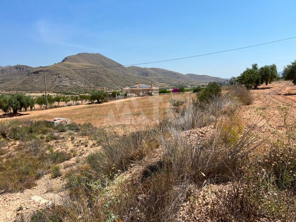  Plot in Hondón de los Frailes- CNM93085 - Photo - 1