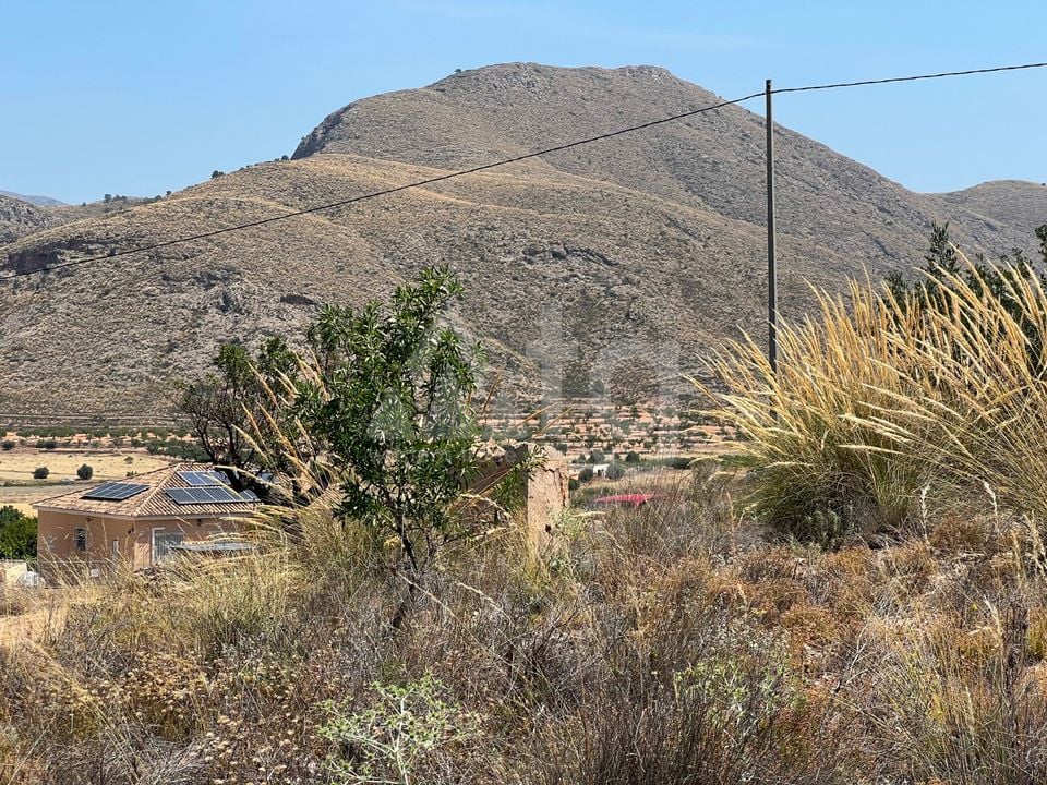  Plot in Hondón de los Frailes- CNM93085 - Photo - 2