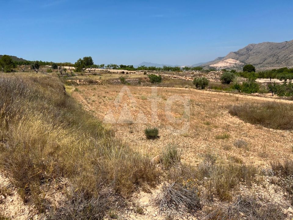  Plot in Hondón de los Frailes- CNM93085 - Photo - 4