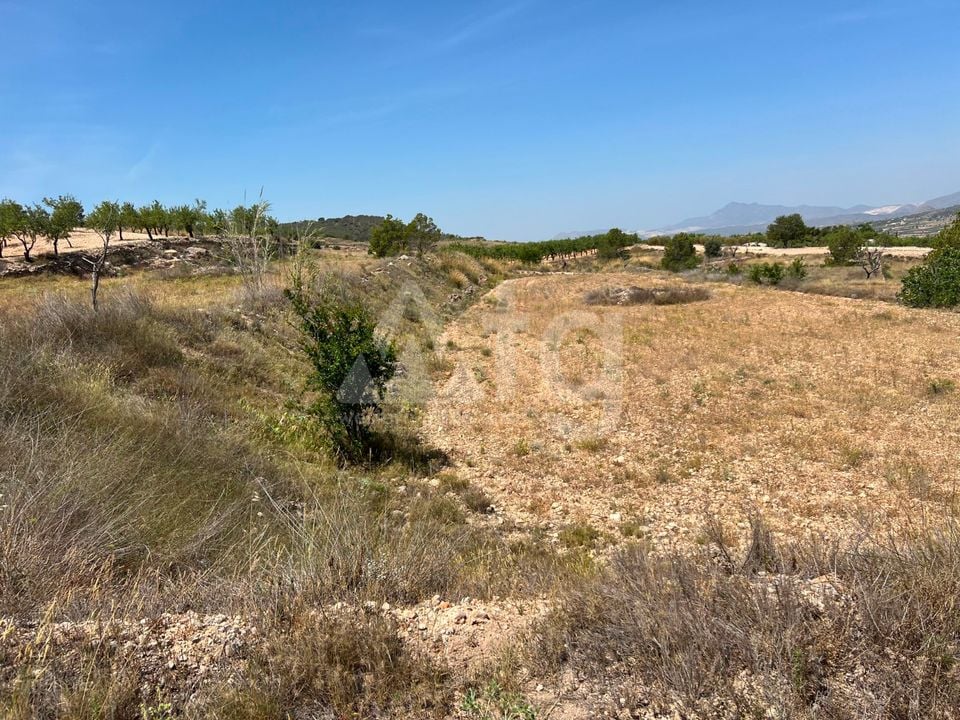  Plot in Hondón de los Frailes- CNM93085 - Photo - 6