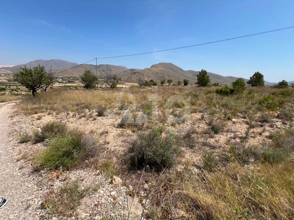  Plot in Hondón de los Frailes- CNM93085 - Photo - 9