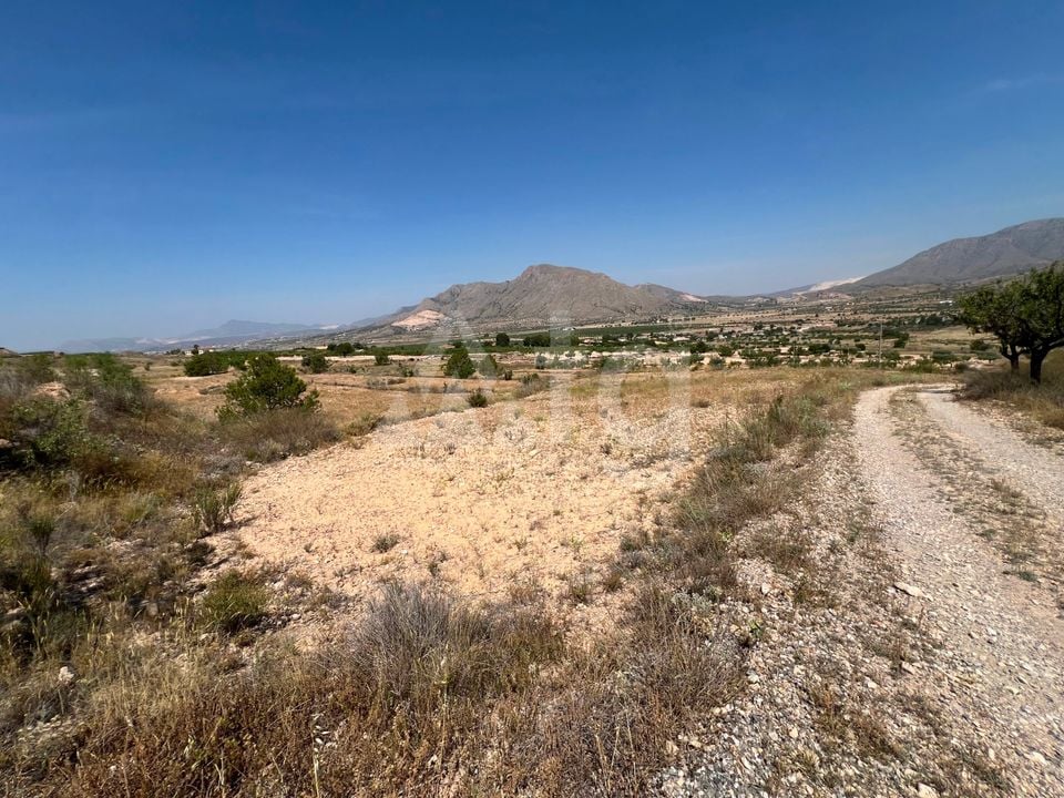  Plot in Hondón de los Frailes- CNM93085 - Photo - 7