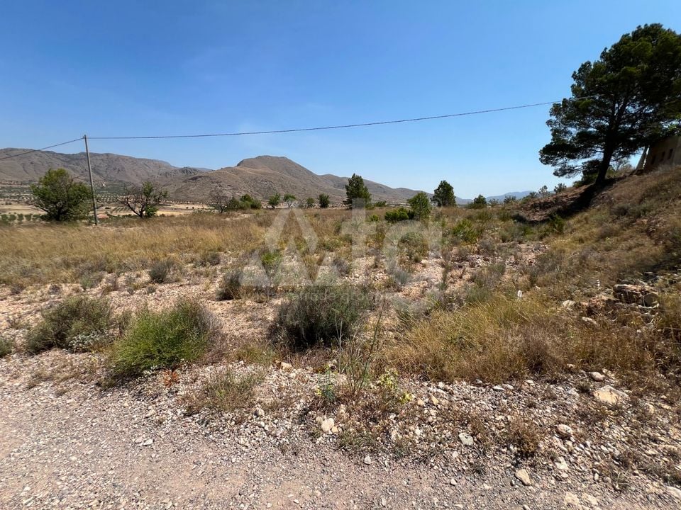  Plot in Hondón de los Frailes- CNM93085 - Photo - 8