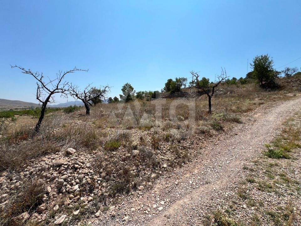  Plot in Hondón de los Frailes- CNM93085 - Photo - 11