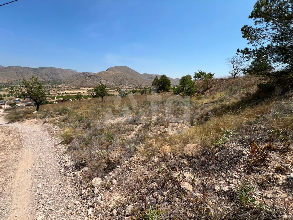  Plot in Hondón de los Frailes- CNM93085 - Photo - 10