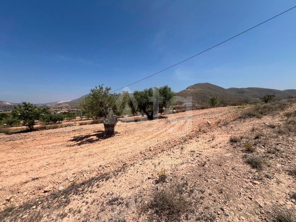  Plot in Hondón de los Frailes- CNM93085 - Photo - 16