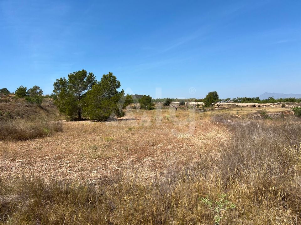  Plot in Hondón de los Frailes- CNM93085 - Photo - 17