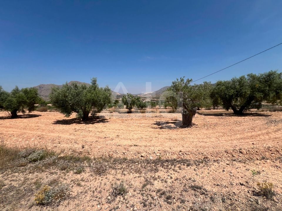  Plot in Hondón de los Frailes- CNM93085 - Photo - 18