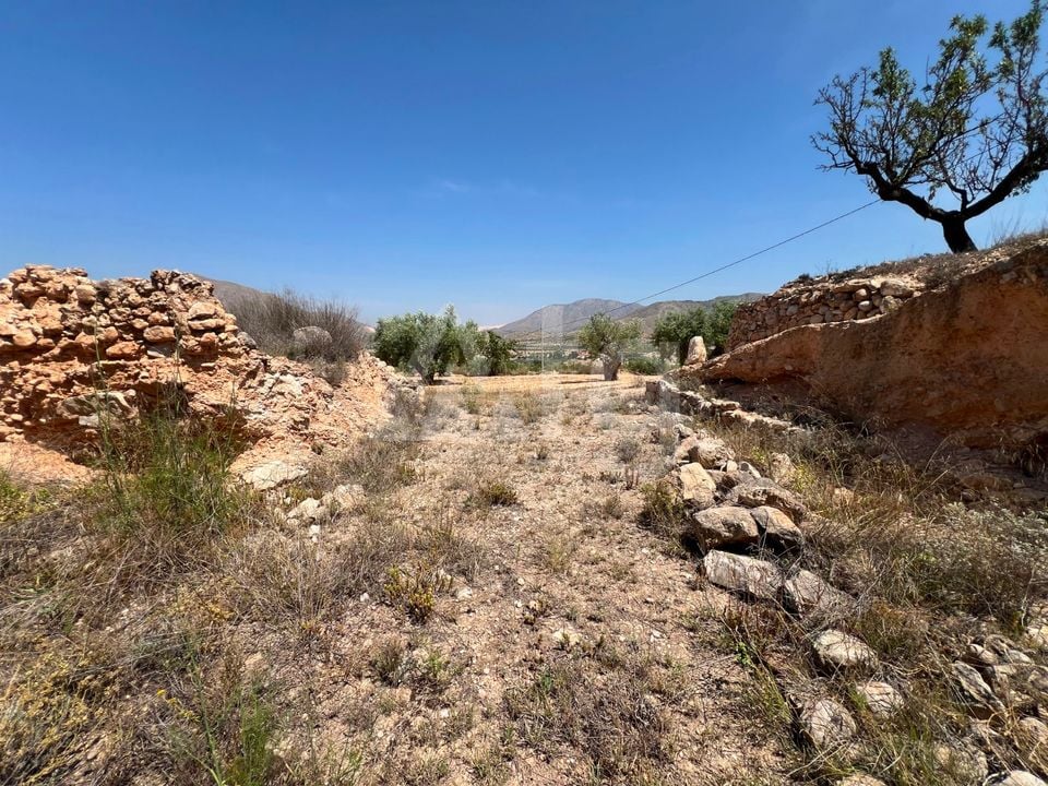  Plot in Hondón de los Frailes- CNM93086 - Photo - 10