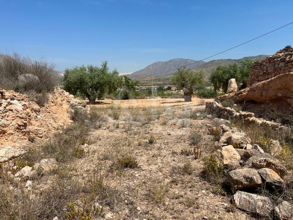  Plot in Hondón de los Frailes- CNM93086 - Photo - 9