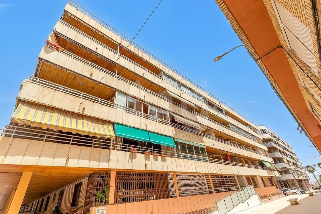 Apartamento de 3 habitaciones en Torrevieja - SHL93332 - Foto - 1