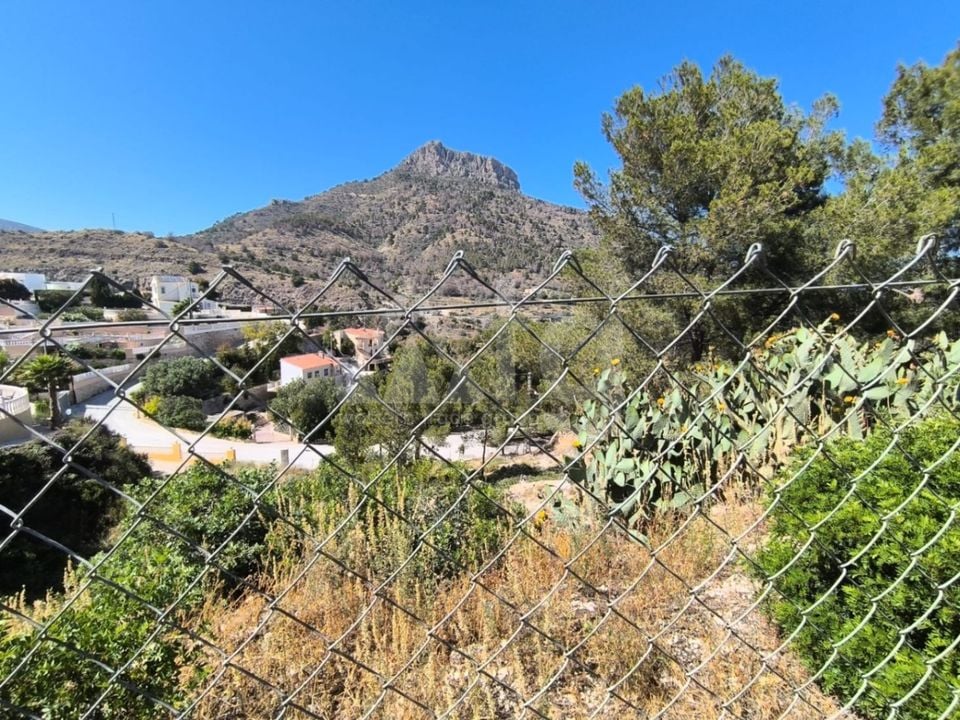 Terrain de  à Calp- ESP93457 - Photo - 3