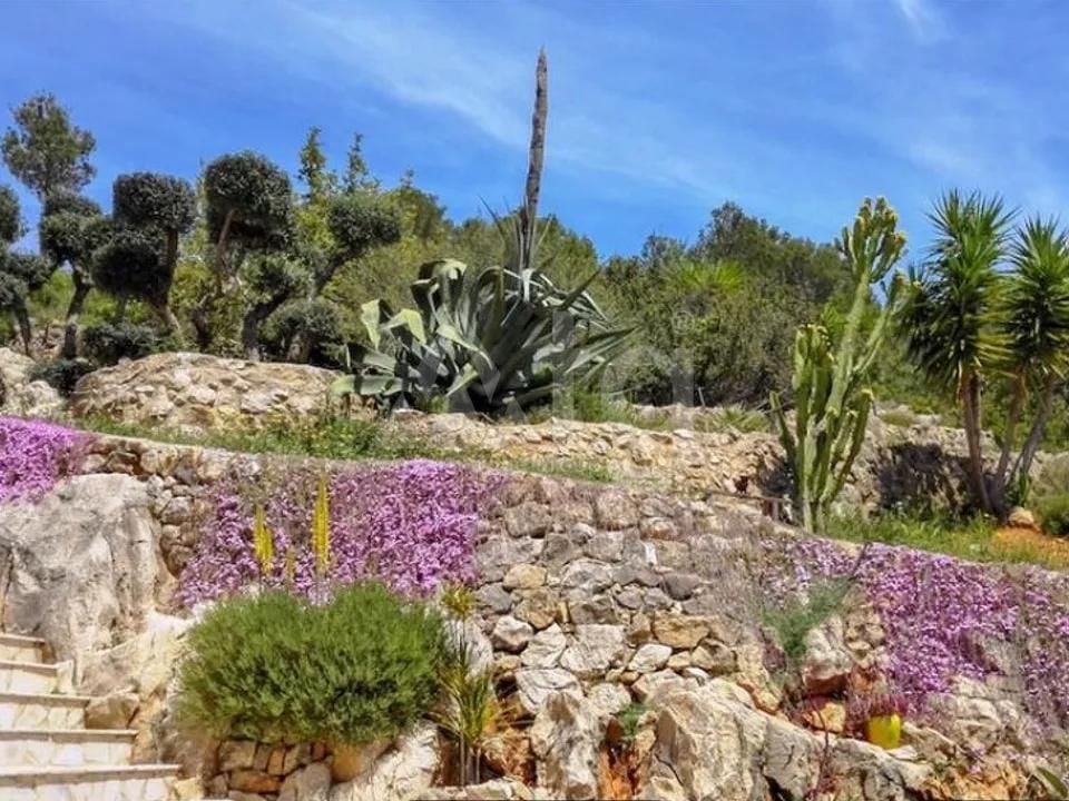 Villa de 4 chambres à Pedreguer - APG93778 - Photo - 20