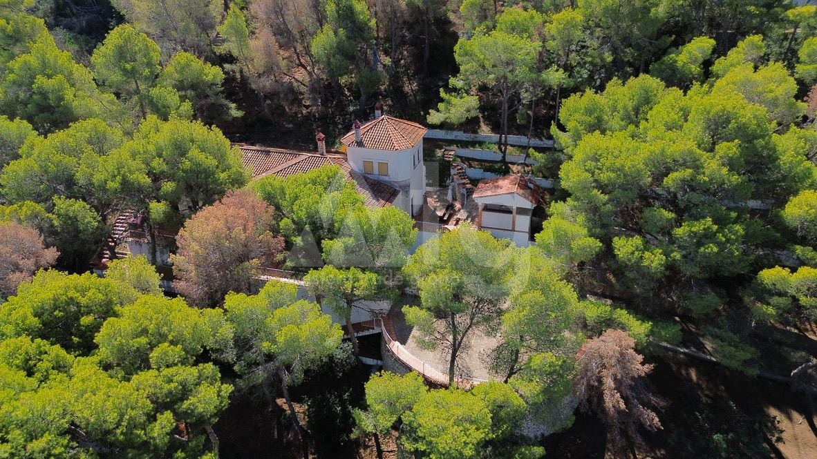 Villa de 6 chambres à Denia - APG93793 - Photo - 23