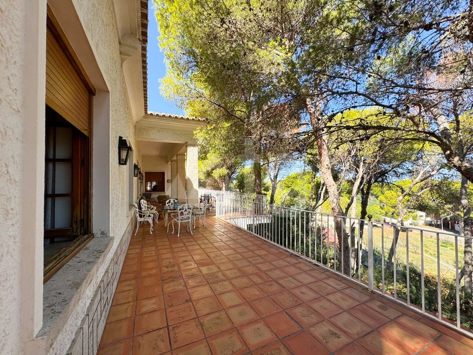 Villa de 6 chambres à Denia - APG93793 - Photo - 16