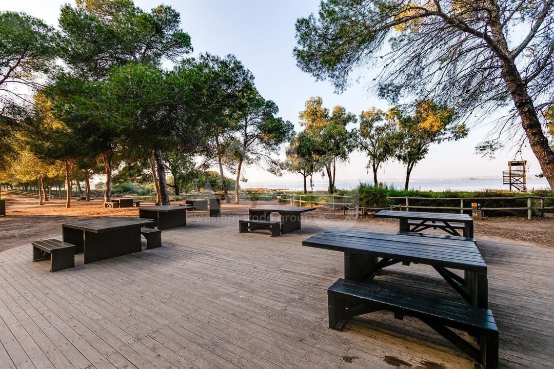 Villa de 5 chambres à Torrevieja - SV153257 - Photo - 39