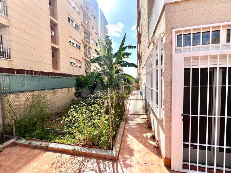 Appartement de 3 chambres à Torrevieja - CT95566 - Photo - 23