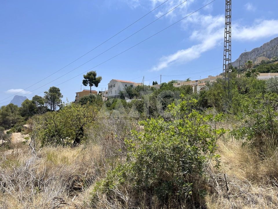 Pozemek   v Calpe, - IMBR95854 - Foto - 4