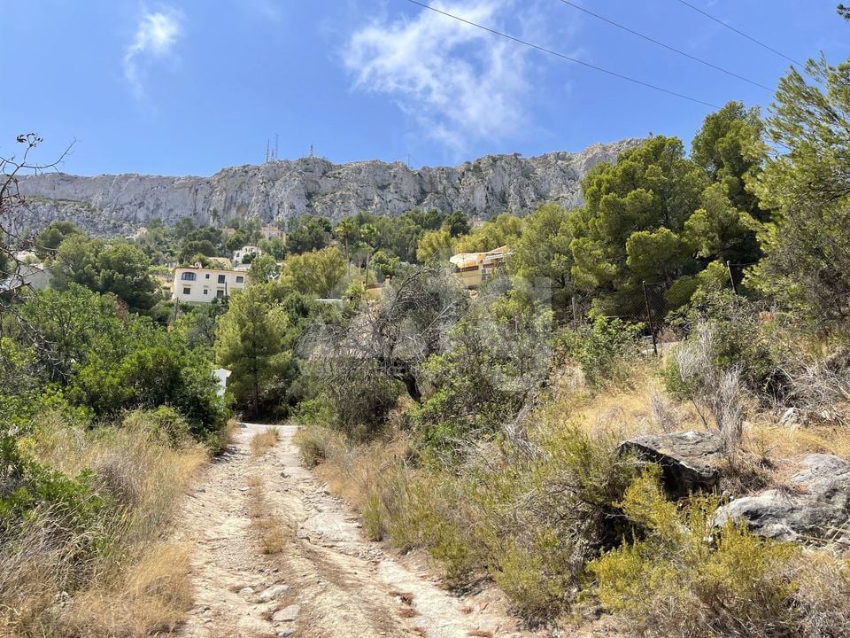 Pozemek   v Calpe, - IMBR95854 - Foto - 3