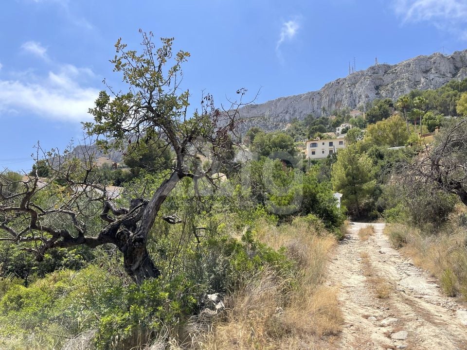Pozemek   v Calpe, - IMBR95854 - Foto - 13