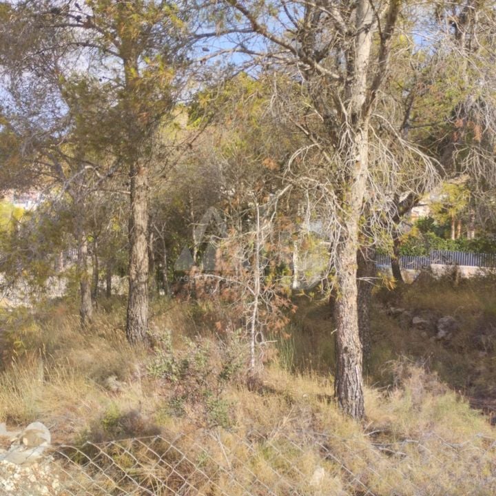 Pozemek   v Finestrat, - BNB96787 - Foto - 4