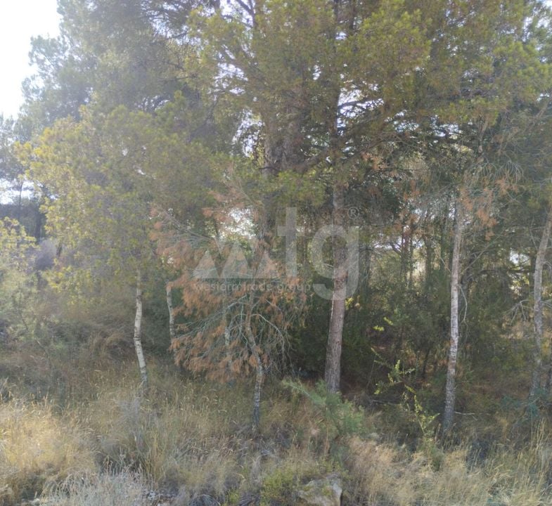 Pozemek   v Finestrat, - BNB96787 - Foto - 6
